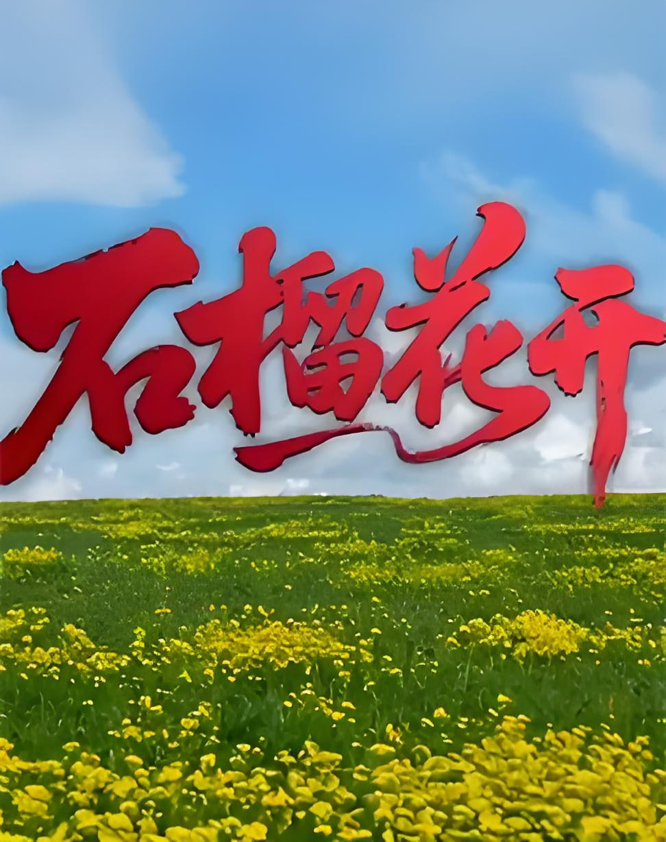 石榴花开